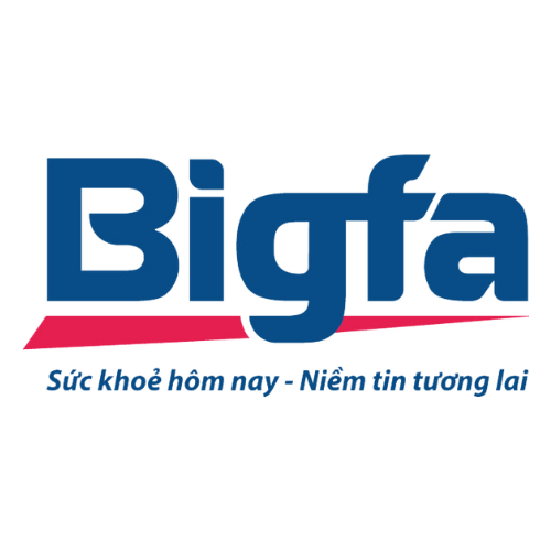 cong ty co phan bigfa