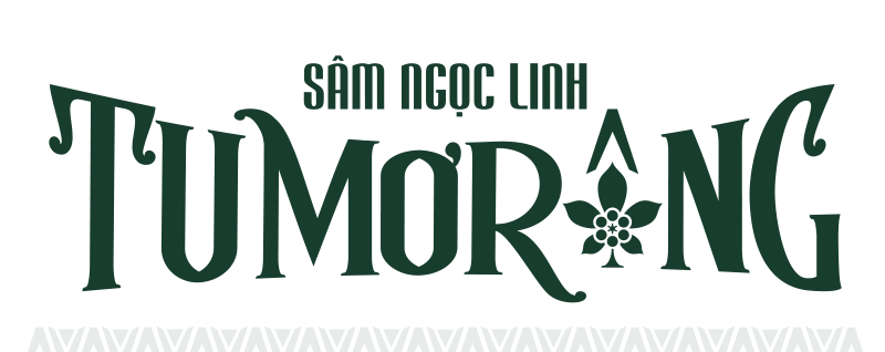 cong ty co phan sam ngoc linh tu mo rong kon tum