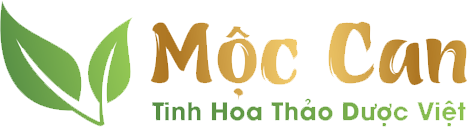 cong ty co phan thuong mai va dich vu moc can