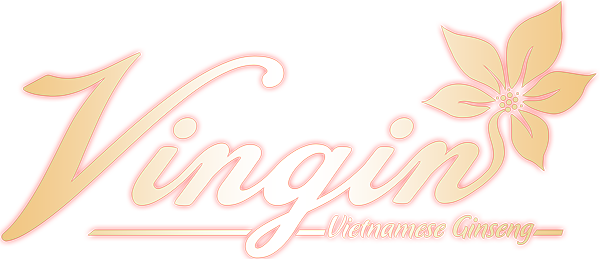 cong ty co phan vingin
