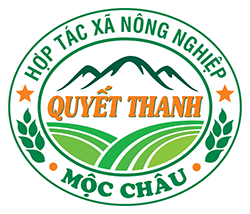 HỢP TÁC XÃ NÔNG NGHIỆP QUYẾT THANH MỘC CHÂU