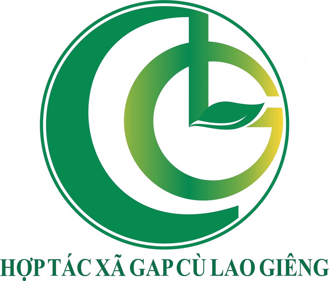 hop tac xa gap cu lao gieng