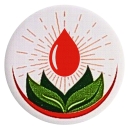 CÔNG TY TNHH DẦU GIÓ THIÊN Ý