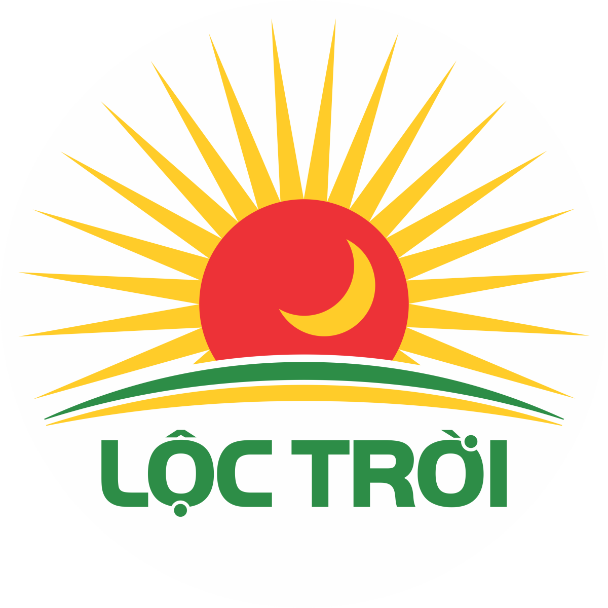 cong ty tnhh mot thanh vien luong thuc thoai son