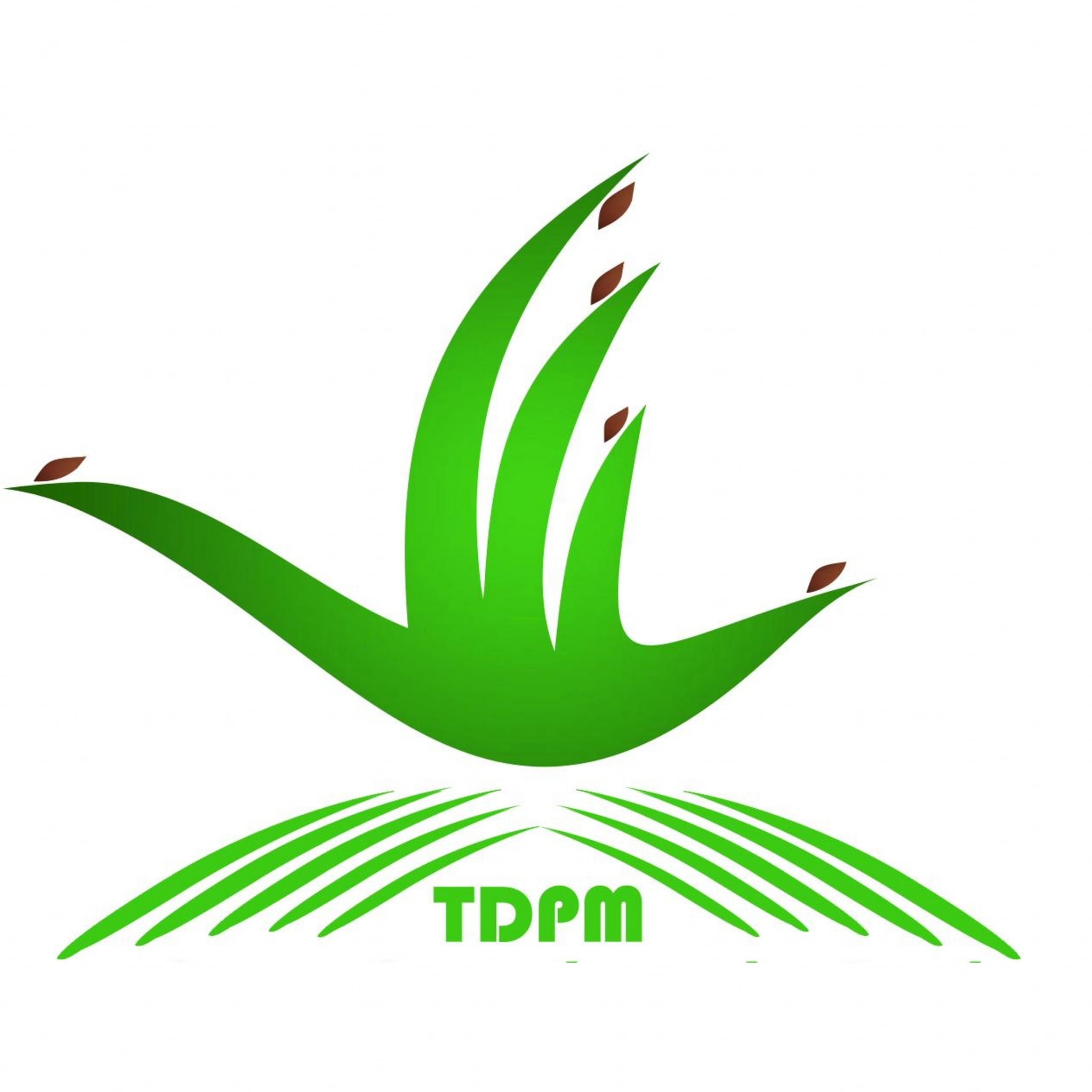 cong ty tnhh thao dien phu my