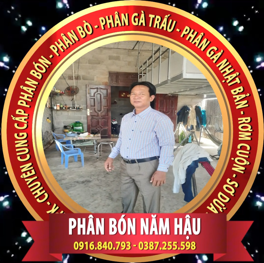 nguyen van hau