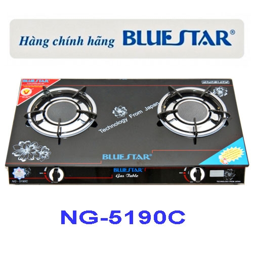 bep gas doi hong ngoai bluestar ng 5190c