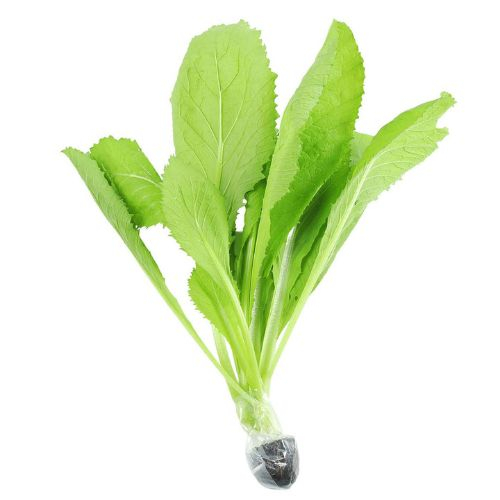 cai xanh thuy canh  mustard greens  200gr