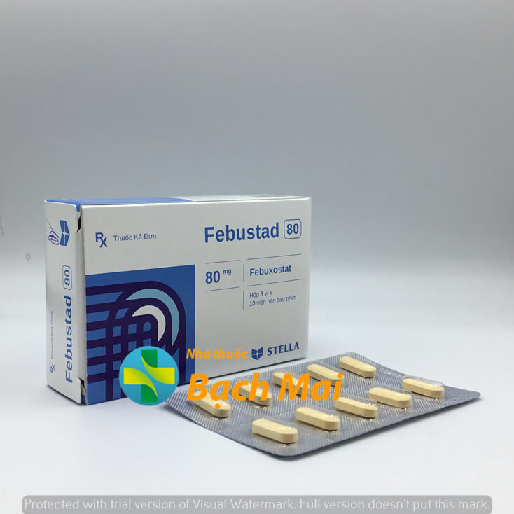 febustad 80