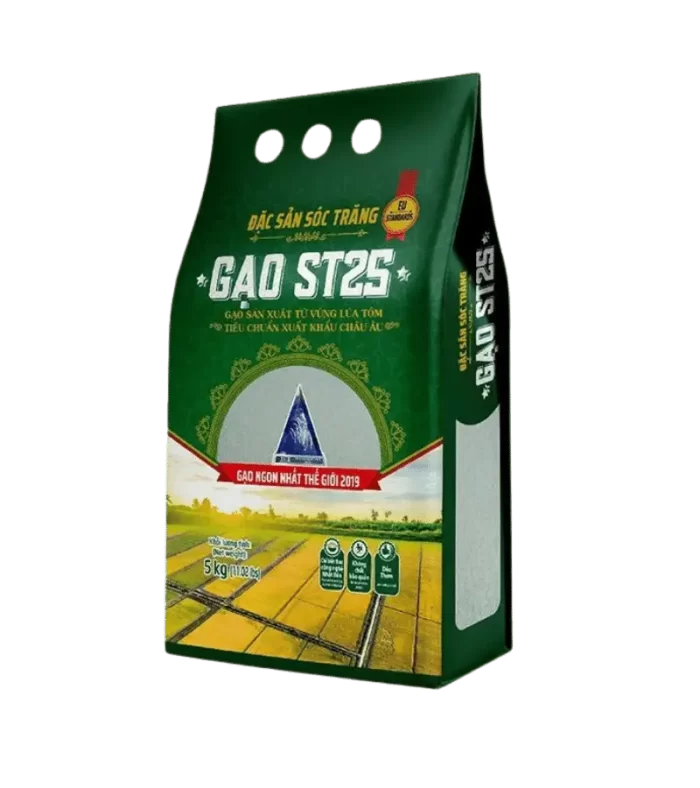 gao st25
