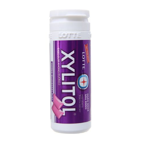 keo gum khong duong lotte xylitol huong bluebery mint