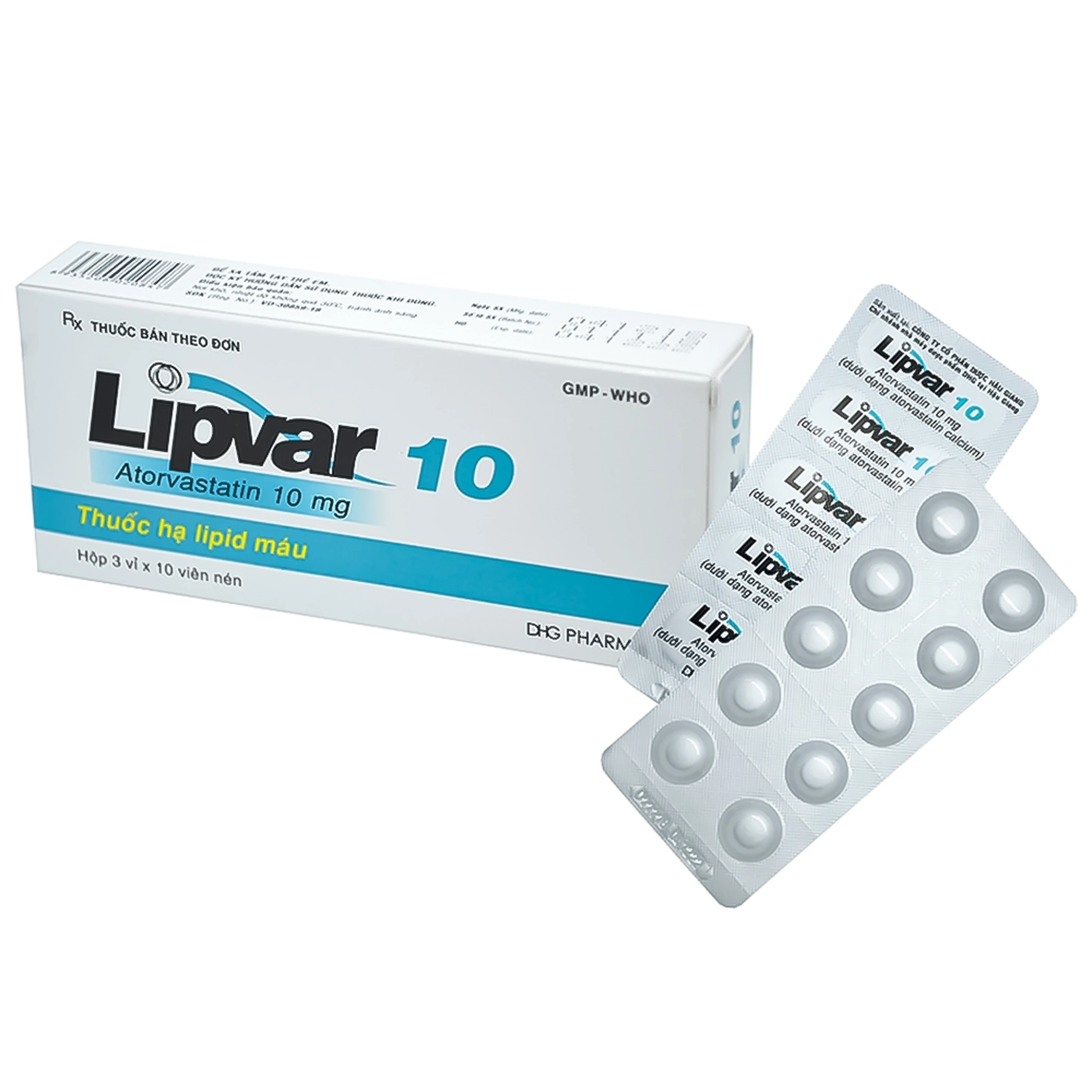 lipvar 10 v 10 h 30